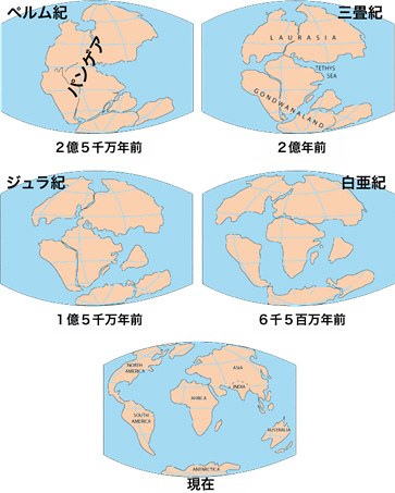 図2　大陸移動（出典：アメリカ地質調査所（一部加筆））